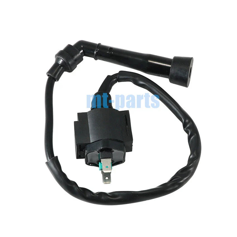 RAM, CAPTAIN, STINGER 300, Barossa 250 SMC Ignition Coil