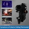 Mercedes-Benz C300 L4 2.0L Car Thermostat (2019-2023)