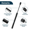 Chrysler 300 Rear Hatch Lift Supports Struts Gas Spring (2011-2017)