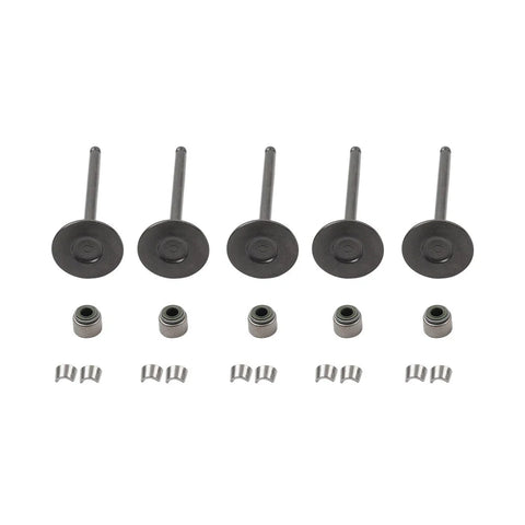 Yamaha WR450F YZ450F YFZ450 YFZ450R / X / V Intake Exhaust Valve Kit (2003-2023)