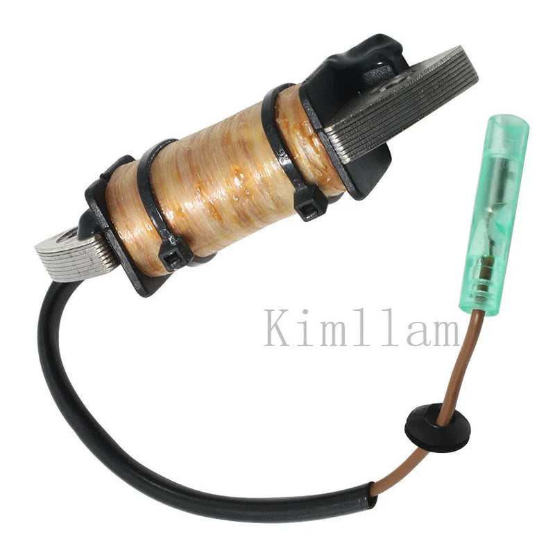 Yamaha Outboard 2HP 1995-2006, 2010 Charge Coil