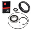 Honda TRX250X / Sportrax 250 Rear Axle Brake Drum Bearing Seals Kit