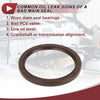 Kia Sedona, Hyundai Genesis Crankshaft Oil Seal (2011-2020)