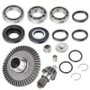 Honda Sportrax 250 TRX250EX 2001-2008 Rear Differential Rebuild Kit