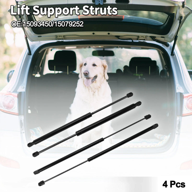 Buick Rainier 2 x Rear Window Glass&Hatch Lift Supports (2005–2007)