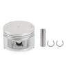 Yamaha XT 225 TTR 225 230 Piston Kit Top End Gasket Set (1992-2016)