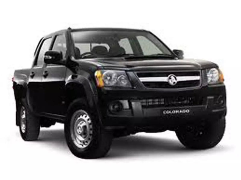 Holden Colorado Gray Roof Mounted Grab Handle (2002-2011)