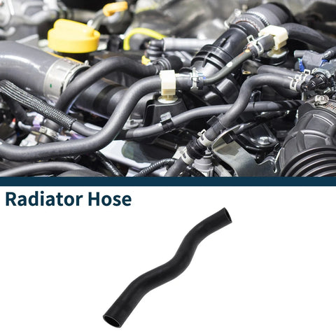 Lexus LS460 4.6L (2007-2012) - Durable Rubber Downpipe Radiator Hose