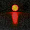 Car Truck Auto LED Reflector Rear Tail Brake Stop Marker Lights