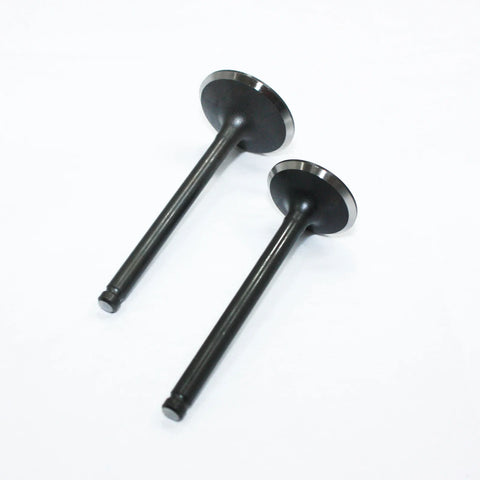 PIT PRO TRAIL DIRT BIKE 125cc 140cc Engine Head Intake Exhaust Valves