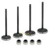 Polaris Predator 500 / Outlaw 500 Head Intake Exhaust Valves Seals (2003–2007)