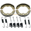 Golf Cart Club Car DS Precedent E-Z-GO Electric Brake Shoes Springs Pins