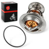 Honda Super Hawk 1000 VTR1000 Thermostat & O-ring (1998–2005)