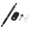 Ford F-150 Tailgate Lift Support Gas Struts (2004-2014)