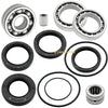 Honda TRX300FW Rear differential bearings seals kit (1988–2000)