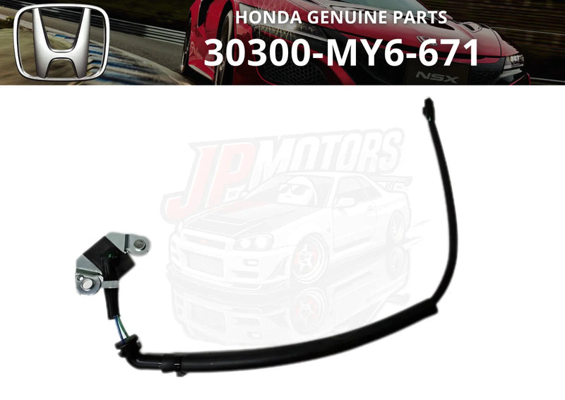 Honda XR650L Ignition Pulse Generator Wire Assembly (1993–2021)