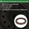 Ford Focus 1 Pc Front Crankshaft Oil Seal (2003-2018)