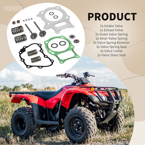 Honda Recon 250 TRX250 TE Intake Exhaust Valve Seal Spring Kit (2002–2023)
