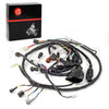Yamaha YFZ450 YFZ450X Wire Harness (2007–2009)