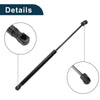 Acura TL Hood Lift Supports Struts (2009 - 2014)
