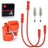 Polaris Scrambler 1000 Ignition Coil and Spark Plug w/Wire Cap (2014–2024)