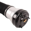 Mercedes Benz W220 S-Class Front Air Suspension Strut Shock Absorber (2000-2006)