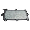 Honda SXS 1000 Talon 1000 Air Filter (2019-2024)