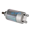 Triton ATV Reactor 450 Supermoto / Crosser Starter Motor (2008-2009)