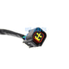Kawasaki KLX400R KLX400SR Magneto Stator Coil (2003-2004)