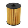 Mini Cooper S Fuel Filter Kit with O Rings (2006-2008)