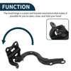 Toyota Corolla Hood Hinges 1 Pair (2017-2019)