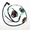 PIT PRO Dirt Bike 150cc 160cc Kick Start Engine Wire Harness