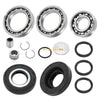Honda Sportrax TRX250EX Rear Bearings & Seals (2001–2008)