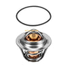 Honda CBR600F Thermostat O-Ring (1987–1990)