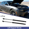 BMW X5 SUV Tailgate Lift Support Struts Gas Spring (2007-2013)