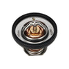 Honda TRX500 Foreman Rubicon Cooling Thermostat (2001–2014)