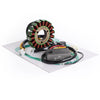 Suzuki GN250E Stator, Regulator & Gasket Set (1982-1994)