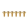 Fastening 6 x M5x15mm Titanium Torx Head Self Tapping Screws
