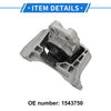 Ford Focus Engine Motor Mount (2003-2014)