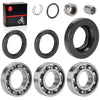 Honda TRX500 Foreman / Rubicon 2001-2004 Rear Differential Bearing & Seal