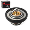 Polaris Sportsman Scrambler 850 1000 Thermostat & Seal (2009–2025)