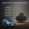Chevrolet Equinox Lower Radiator Mount Bushing