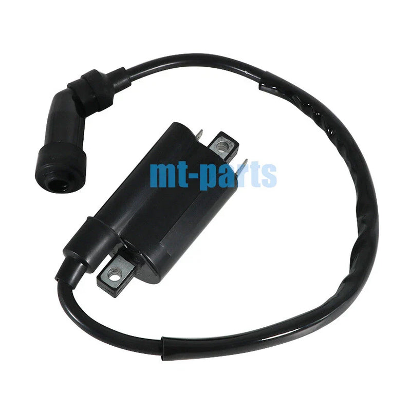 SMC ATV Barossa Jumbo 300 301 302, RAM, Razzer 300 Ignition Coil