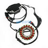 Harley-Davidson VRSCB V-ROD Stator Coil & Regulator Gasket (2004-2005)