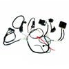 150 250cc Engine PIT Quad Dirt Bike ATV Buggy Wiring Harness Loom