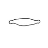 Hyundai Sonata, Santa Fe, Kia High Pressure Fuel Pump Gasket (2011-2023)