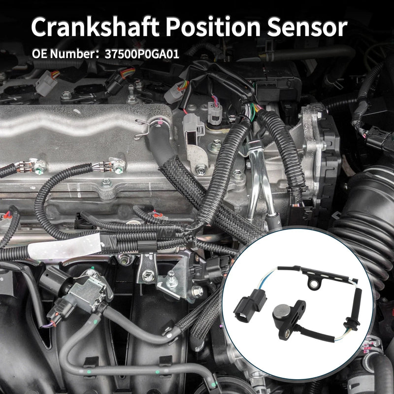 Honda Accord 2.7 Crankshaft Position Sensor (1995-1997)