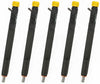 SsangYong Rexton 5 x Diesel Injector Assy (2007–2012)