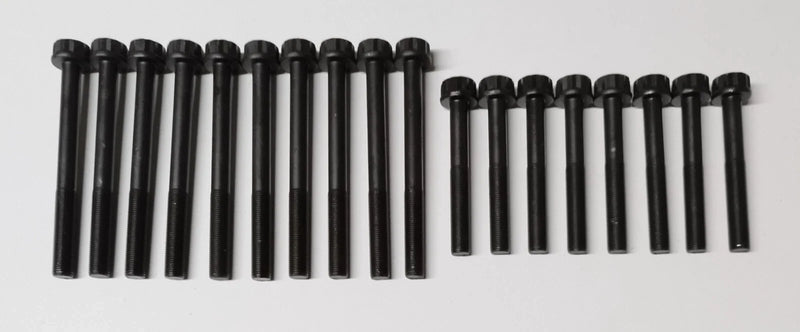 Kia Sedona Carnival 2.9TD 2.9TDi 2.9 CRDi Cylinder Head Stretch Bolts