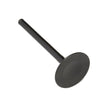 Kawasaki Mule 2500 2510 KAF620 Engine Intake Valve (1993–2019)